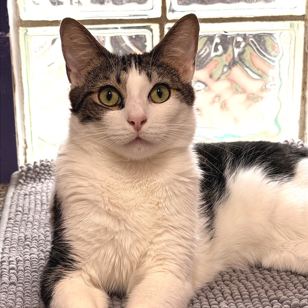 Another portrait of Fred