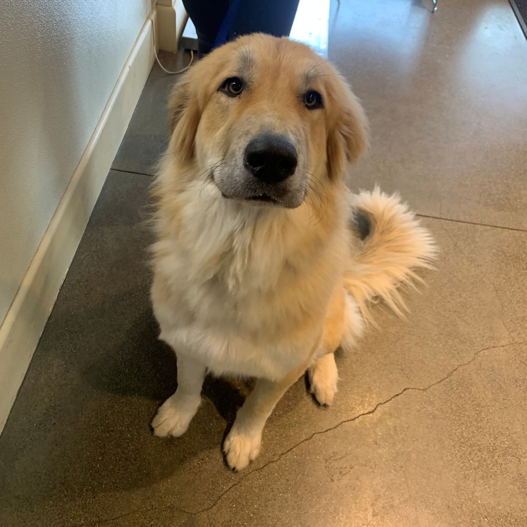 Kennel#2's preview photo