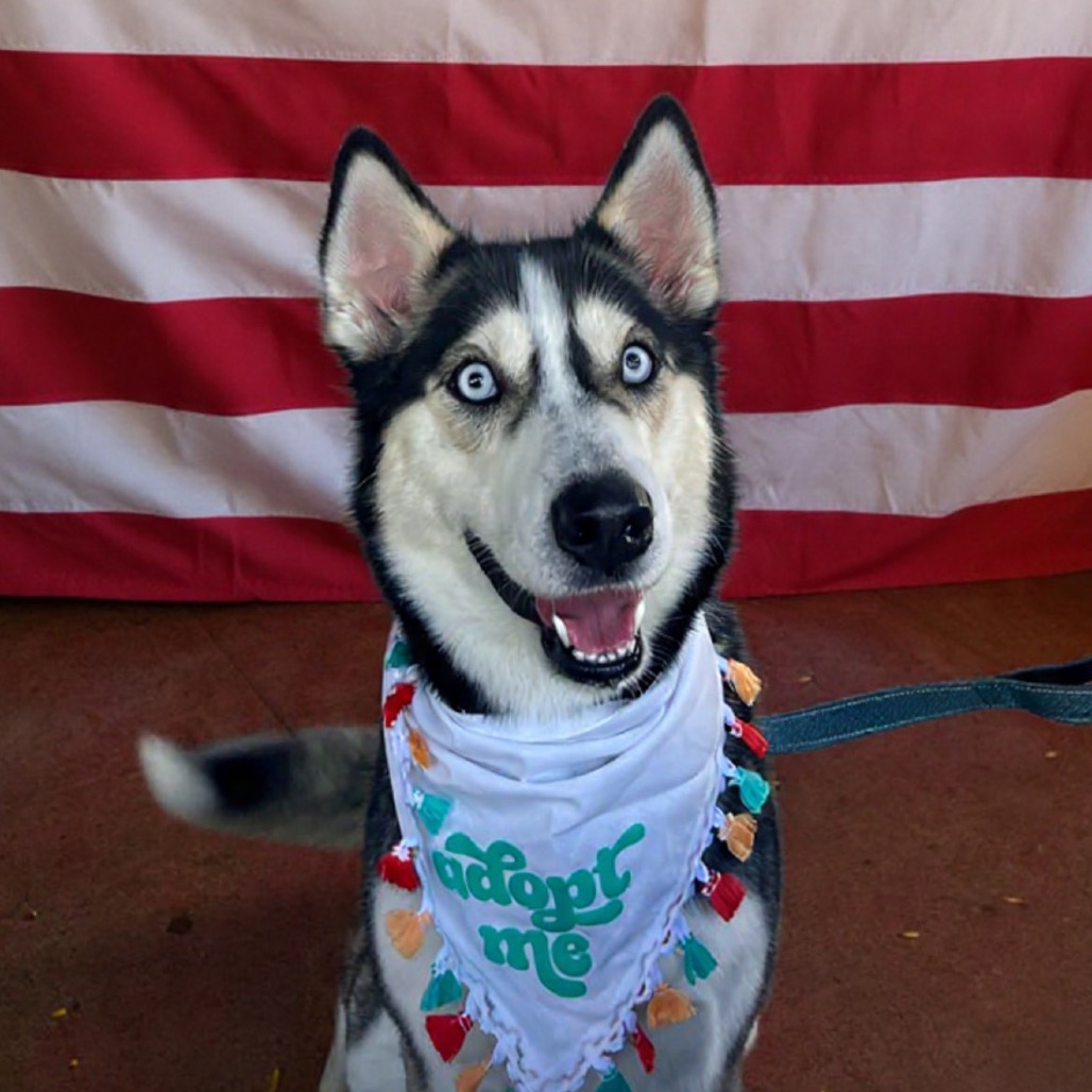 OAKLEY, photo 9