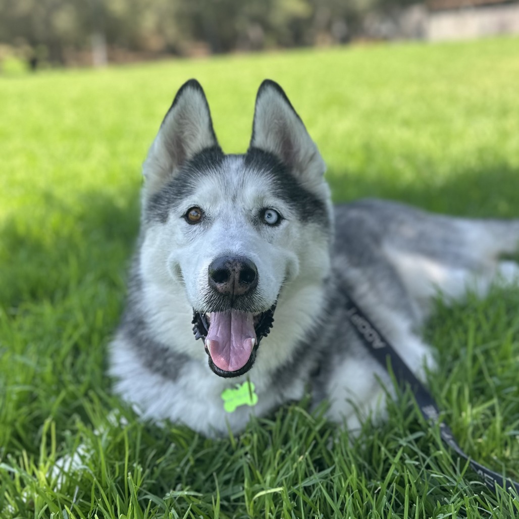 Mason