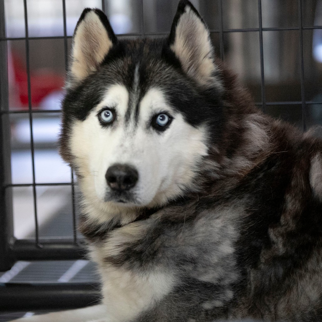Oliver (F26-09), photo 5
