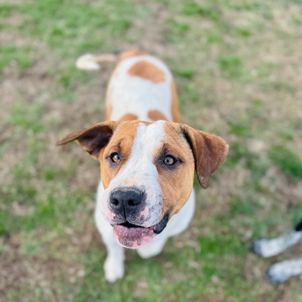 Diana — thumbnail 4