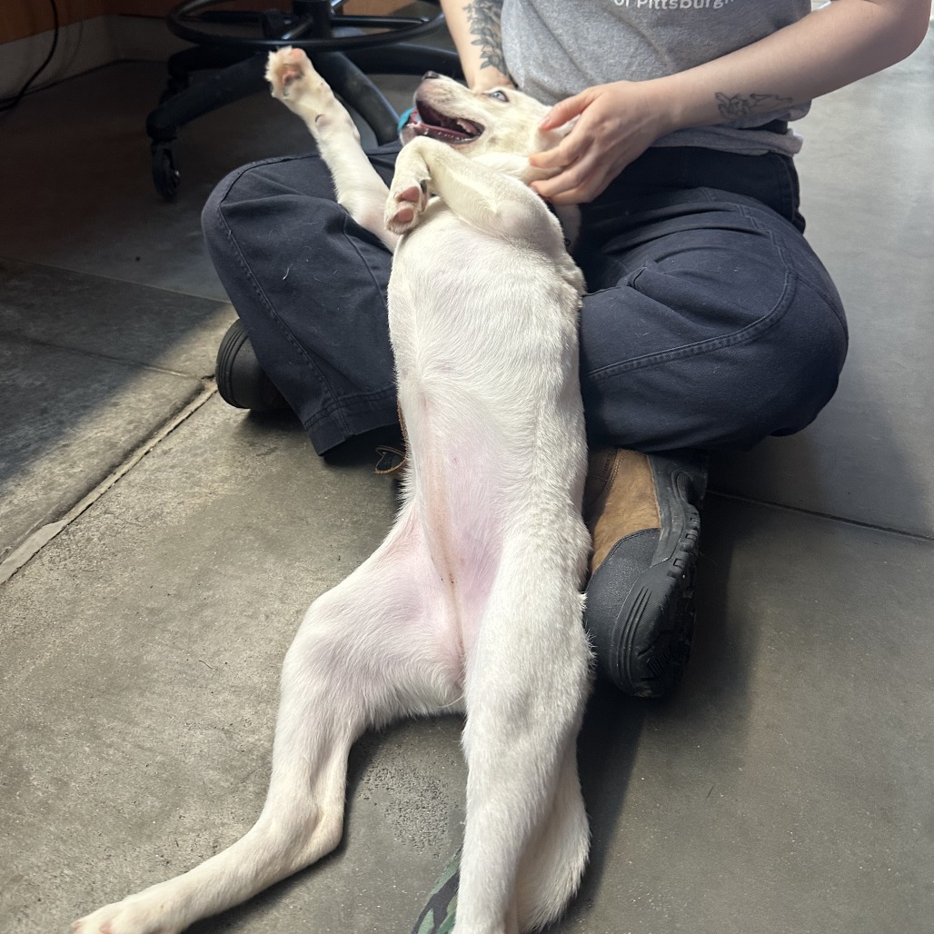 Photo of Squirrel  7