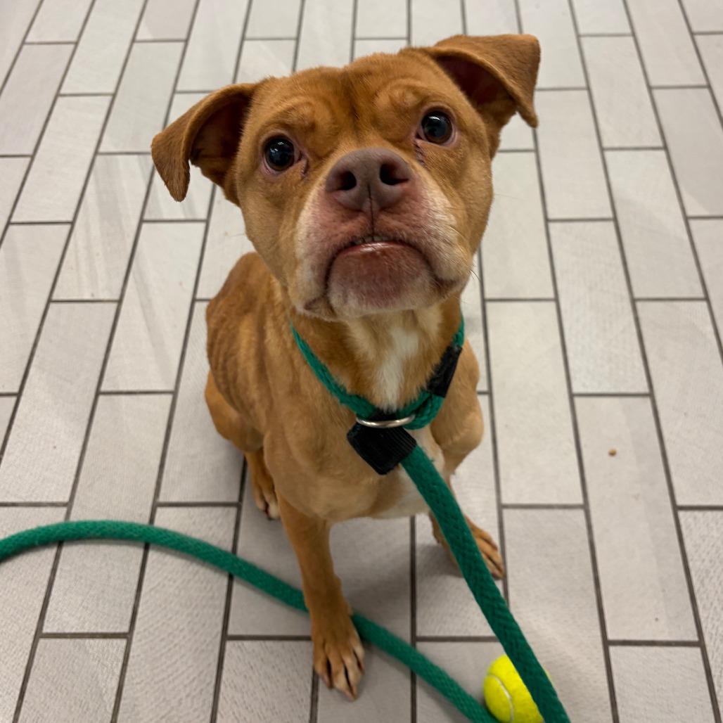 Nani — thumbnail 4