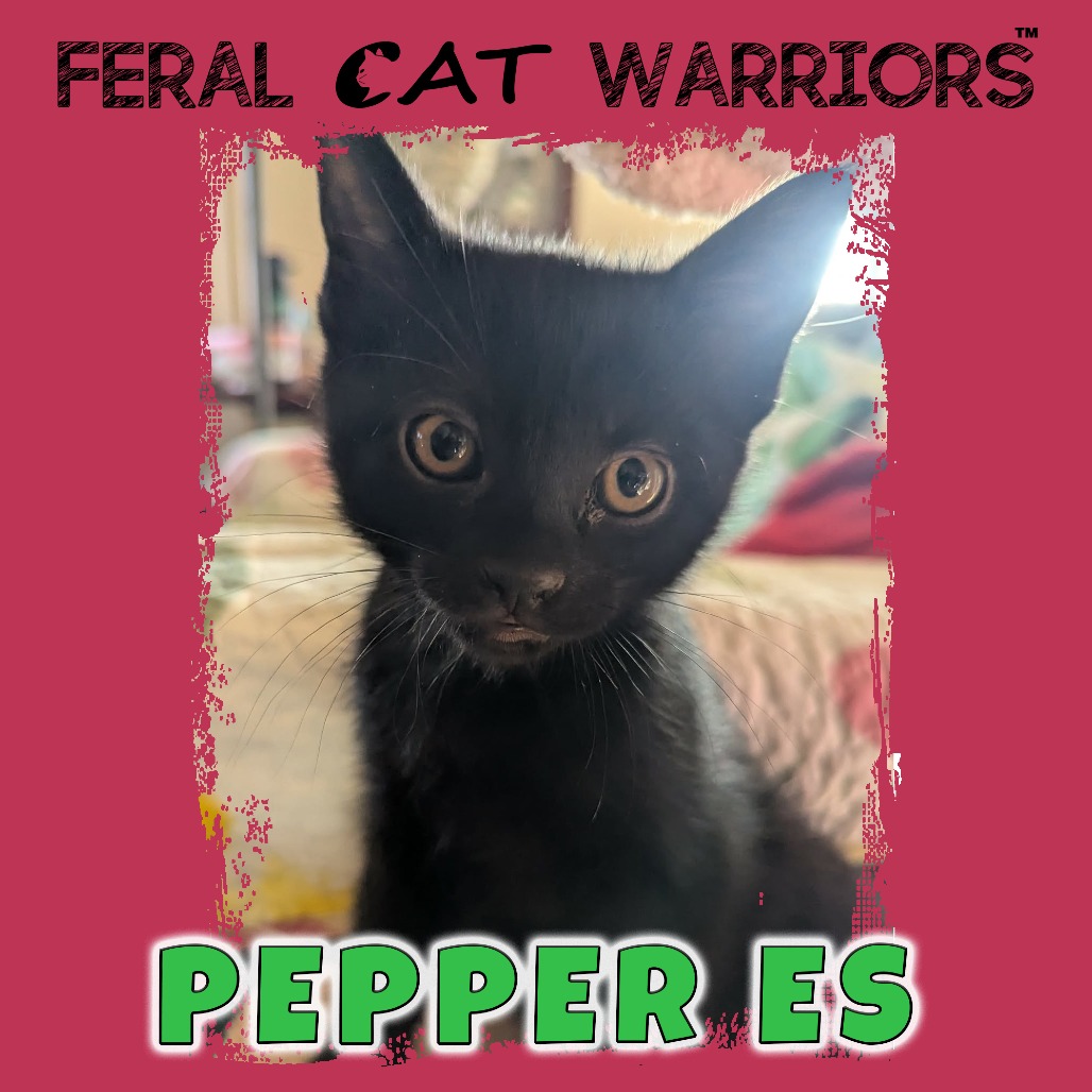 Pepper ES