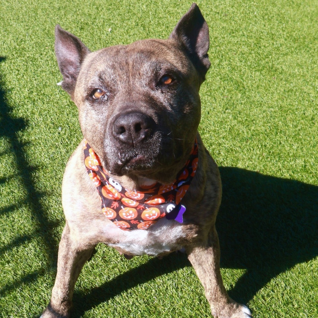 Mamas — thumbnail 2