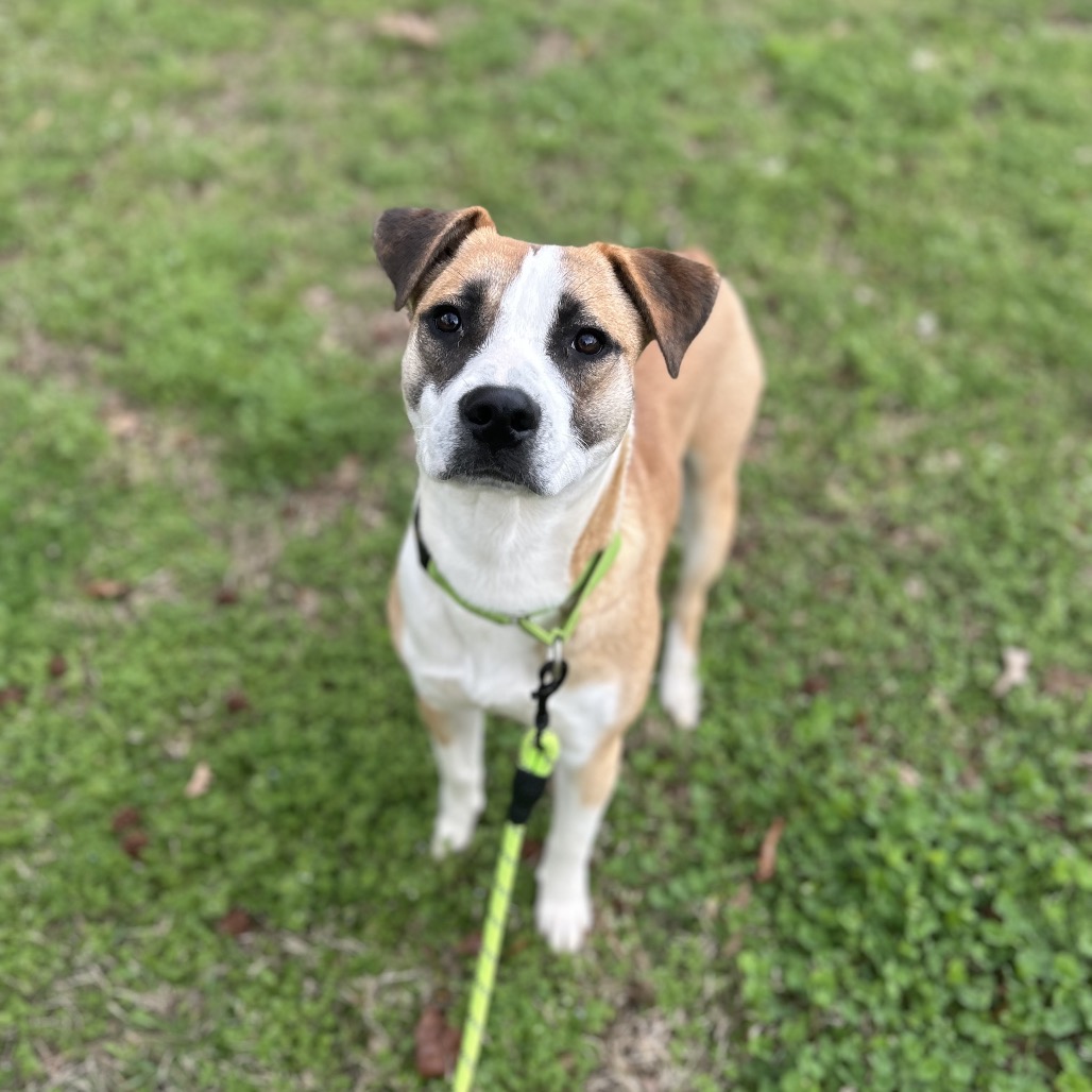 Will — thumbnail 3