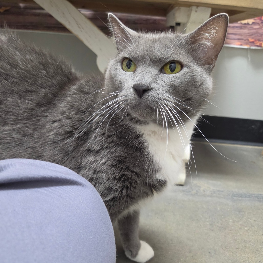 Bootsie, photo 5