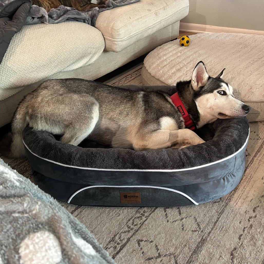 Kai, photo 6