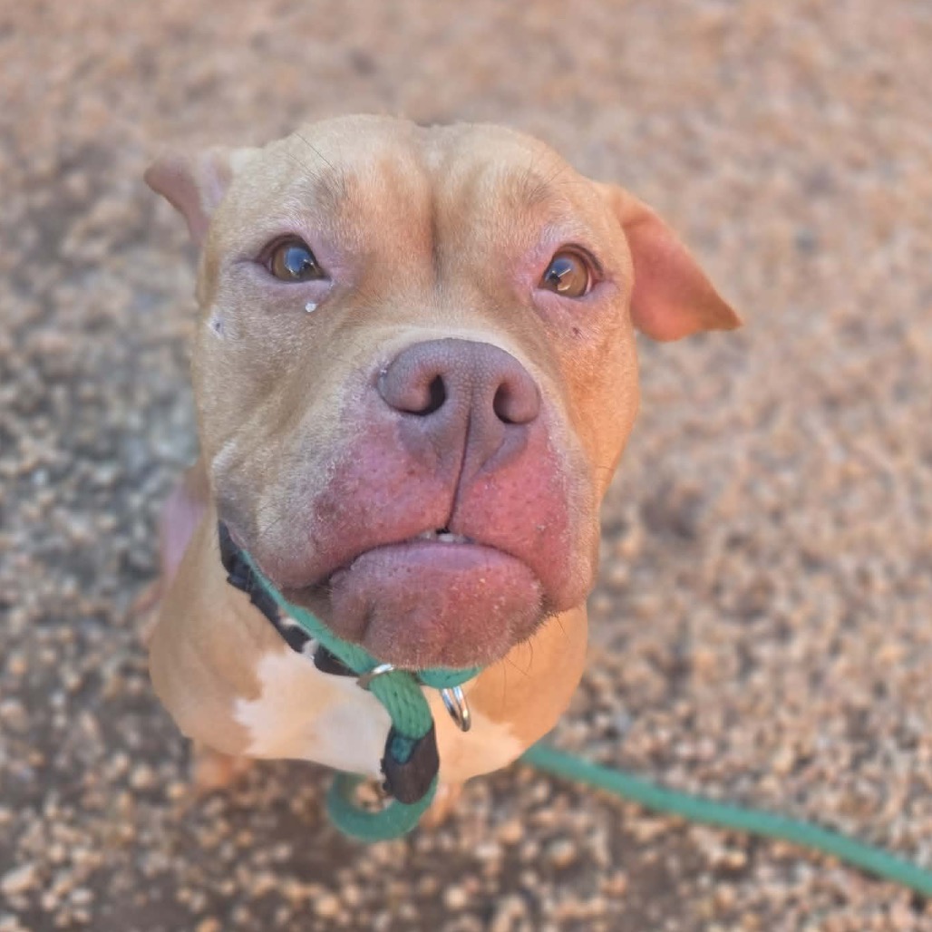 Redd — thumbnail 5