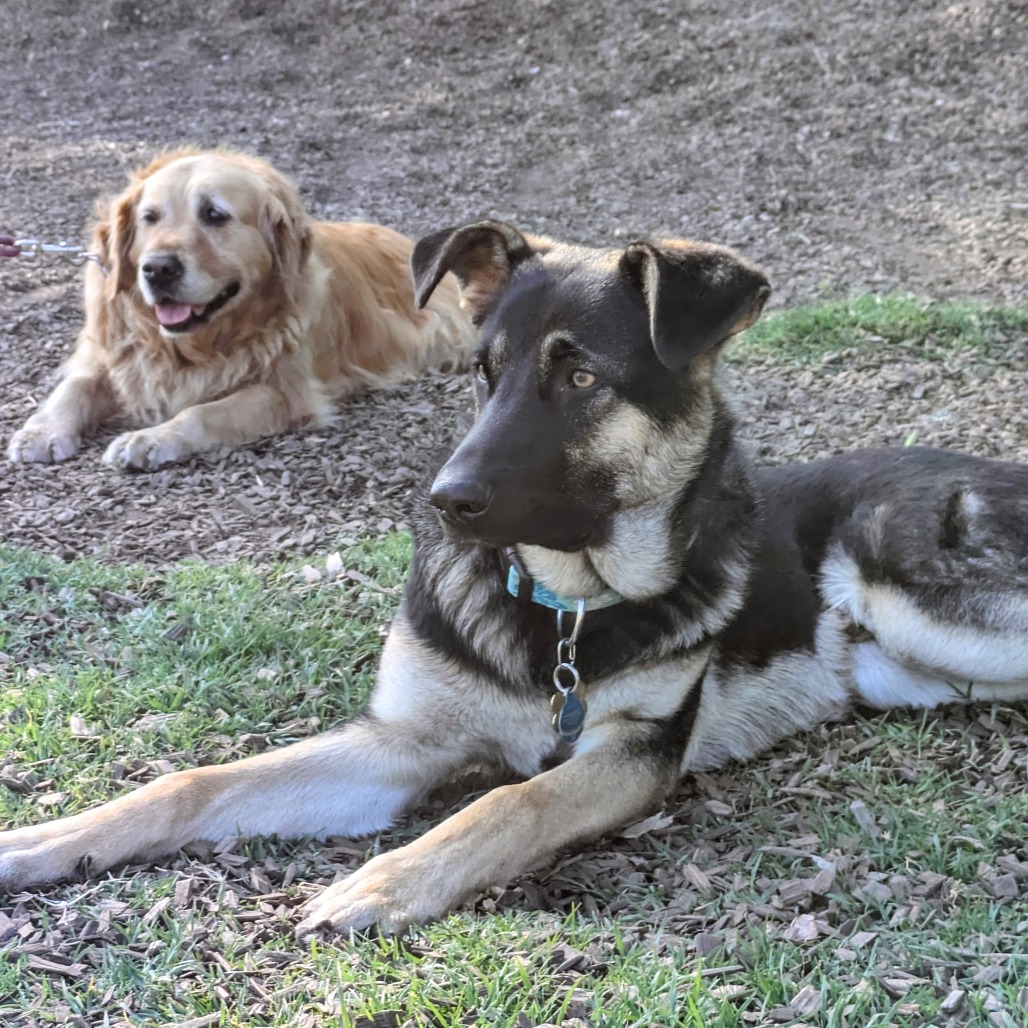 Mars — thumbnail 3