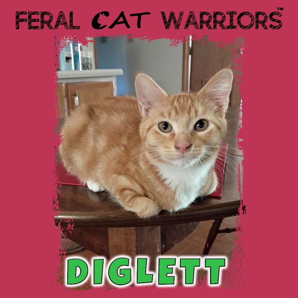 Diglett