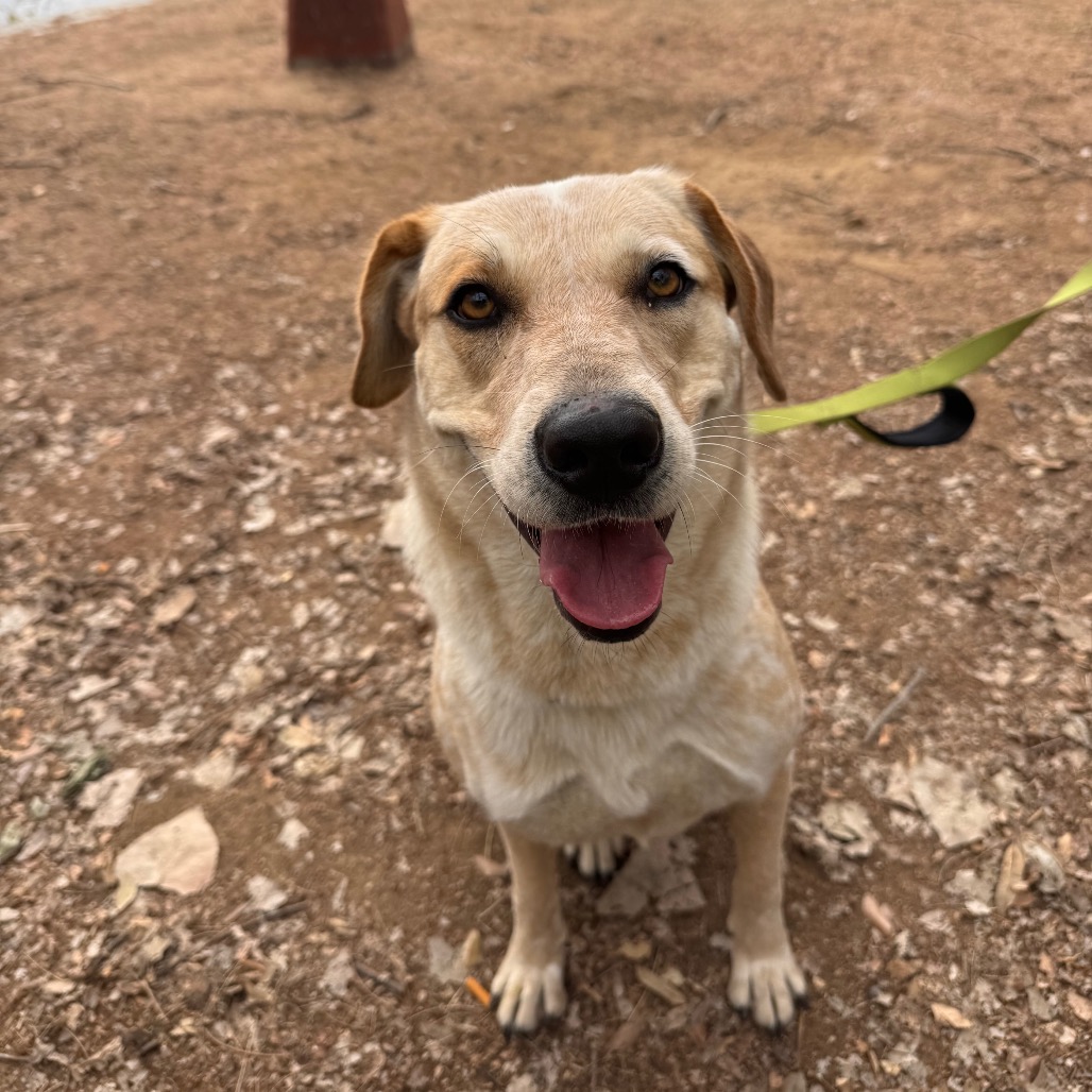 Amelia Earhart — thumbnail 9