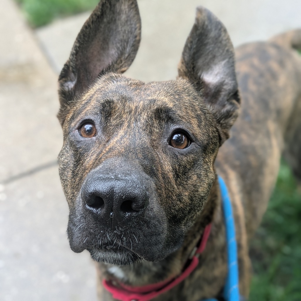 Spencer — thumbnail 3