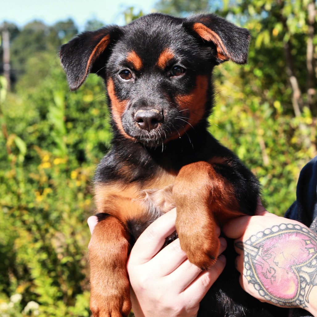 NY Beulah (Foster in Brewster)