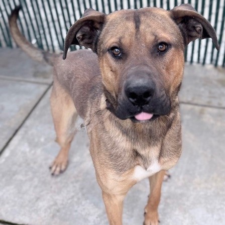 Kennel#20 Titan's preview photo