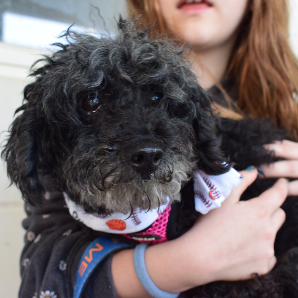 Willow (Whoopie), photo 24