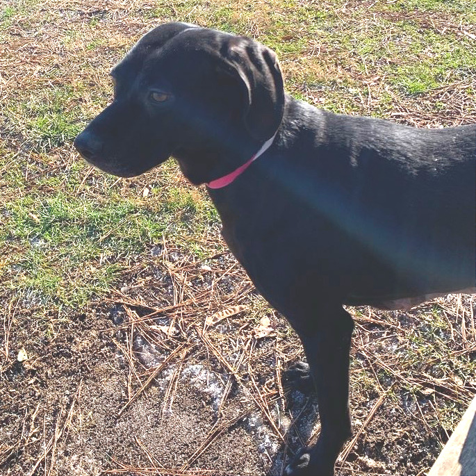 Aura — thumbnail 9