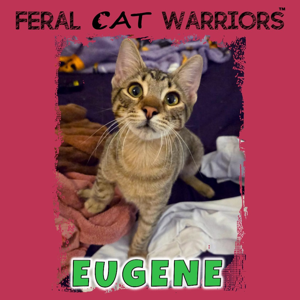 Eugene
