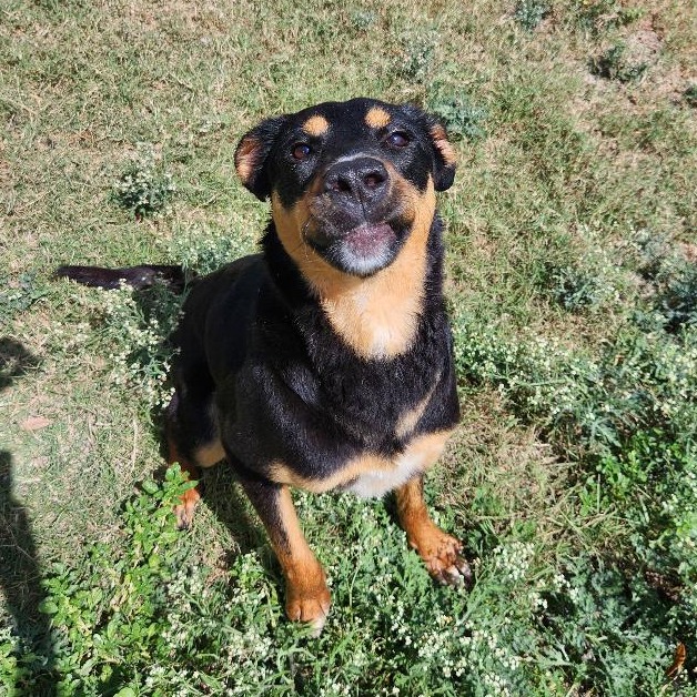 Molly photo 11