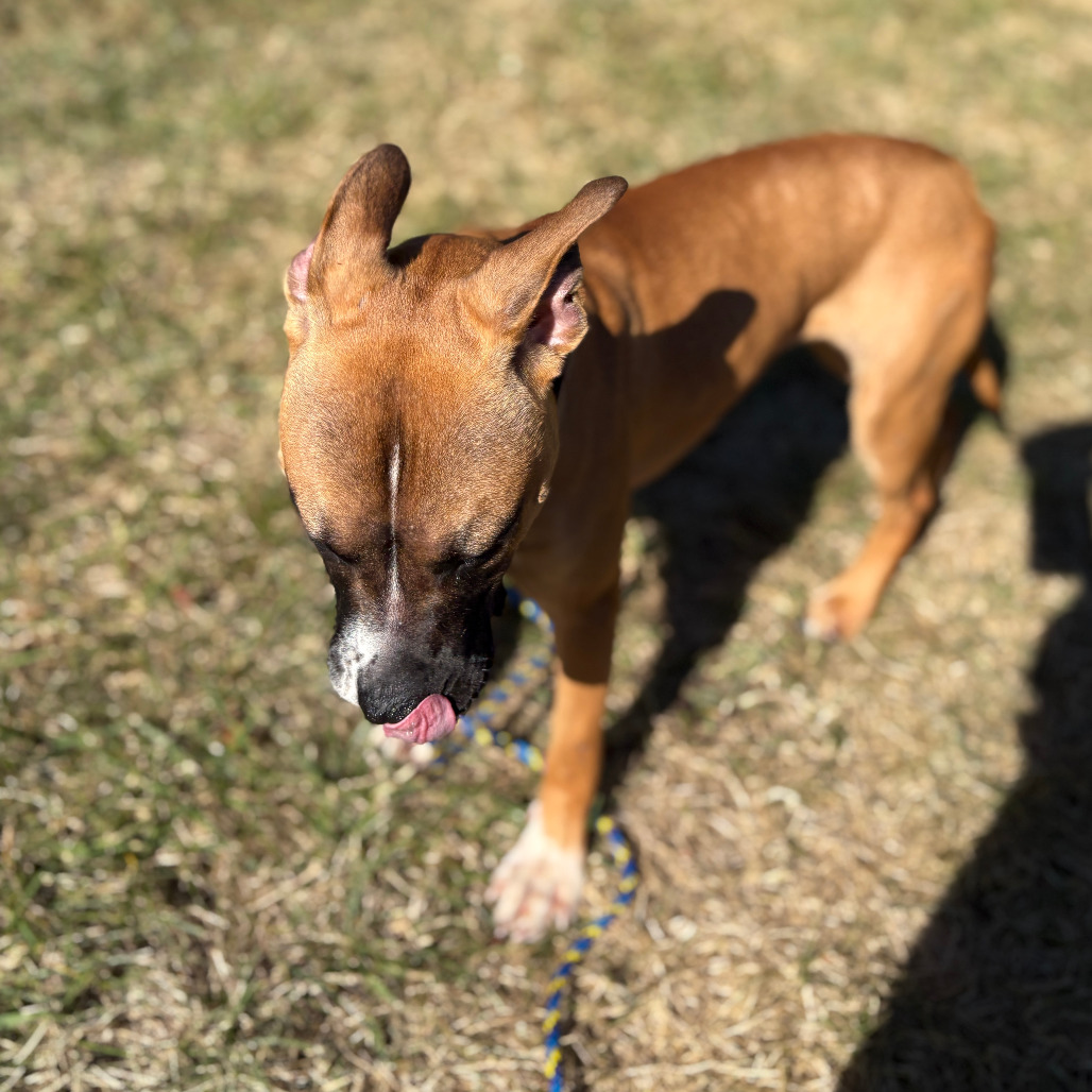 Photo of Nina 13