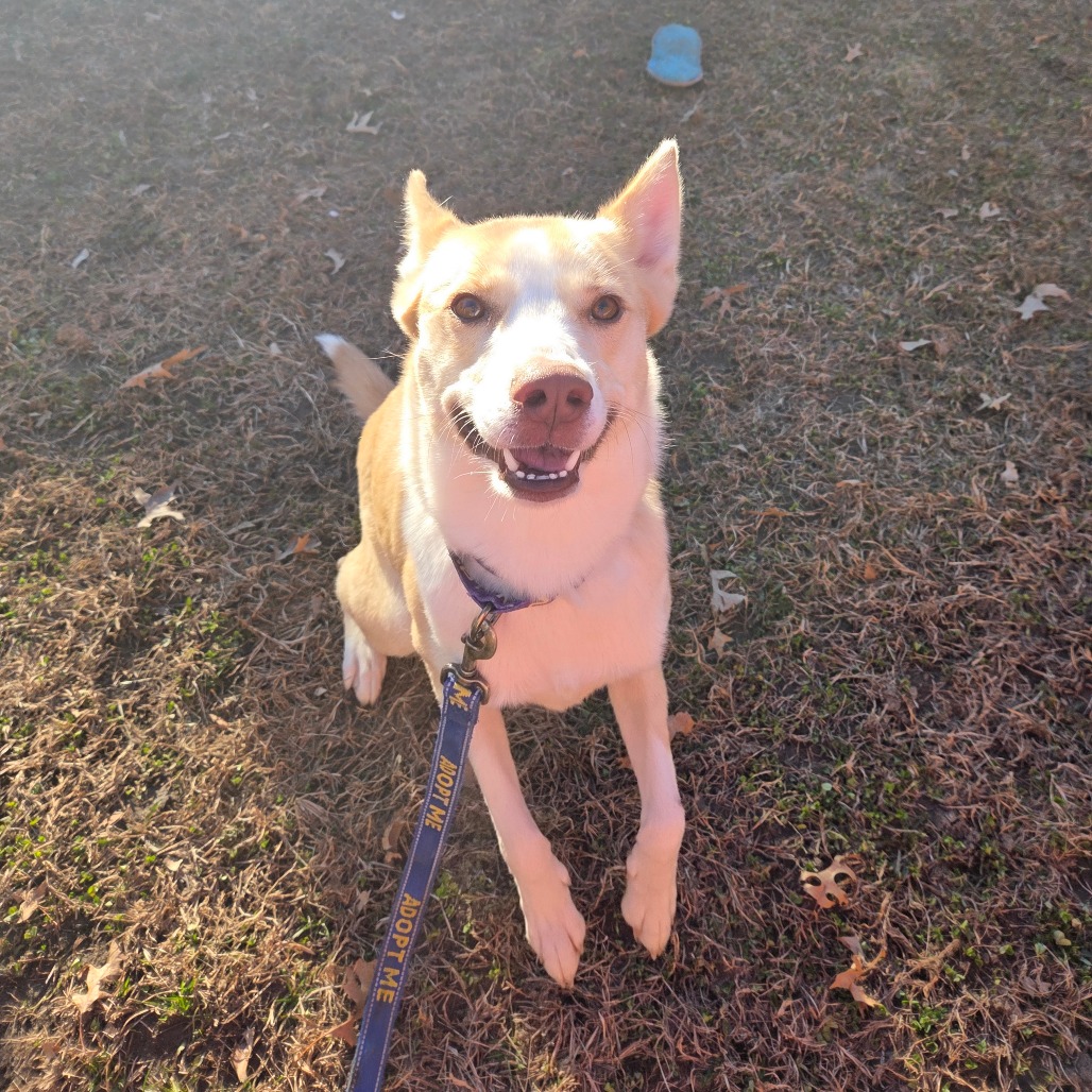 Leah — thumbnail 4