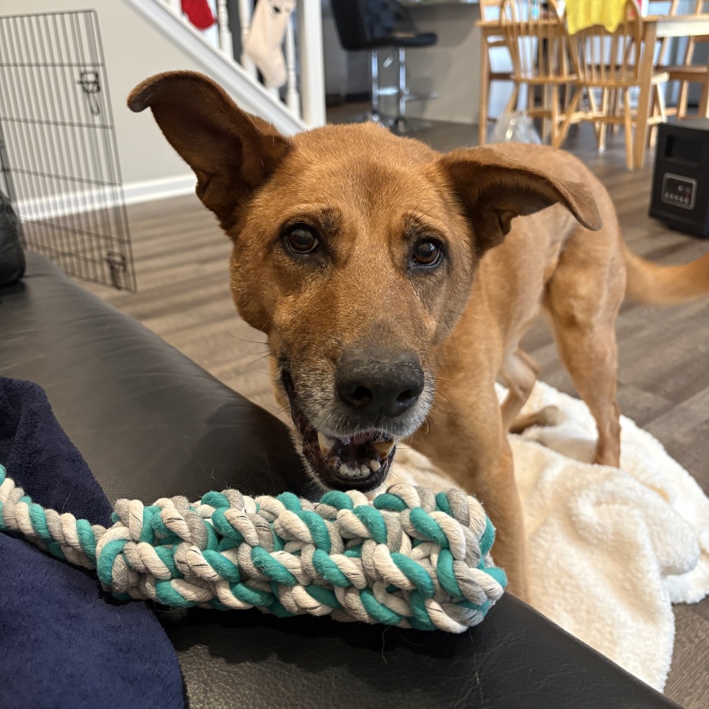 Nala — thumbnail 8