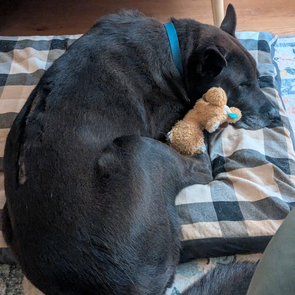 Zuzu, photo 8