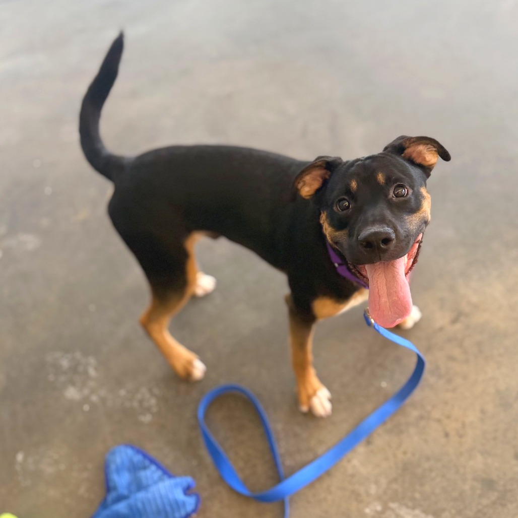 Photo of Kettlecorn 7