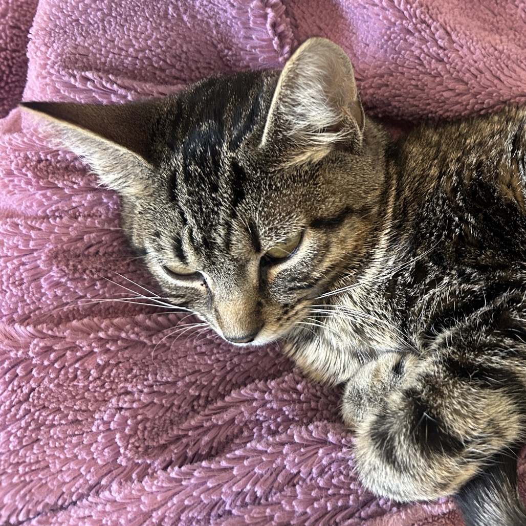 Louise — thumbnail 2