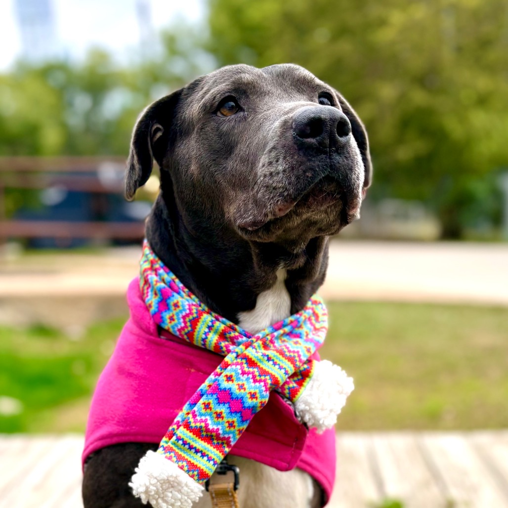 Kiki — thumbnail 8