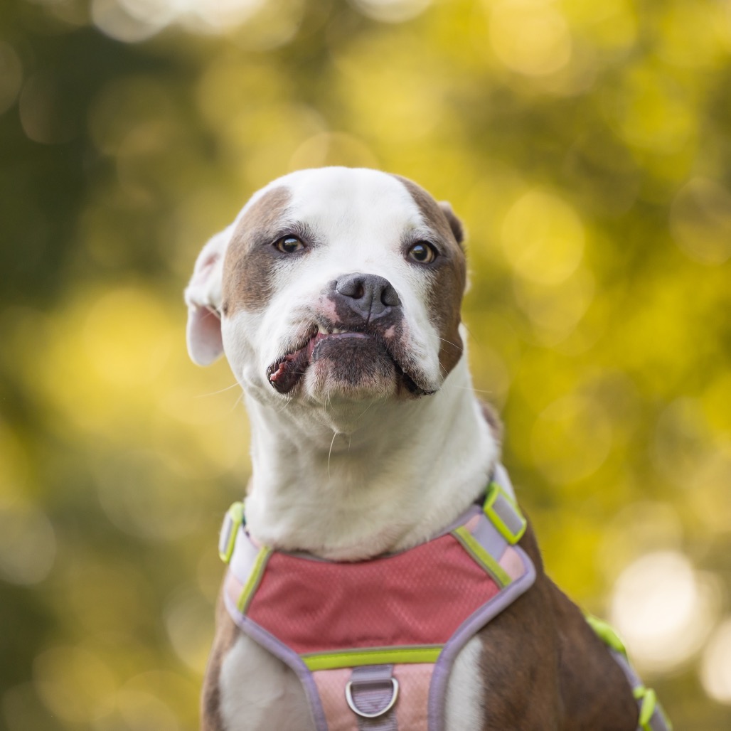 Sunny, photo 25