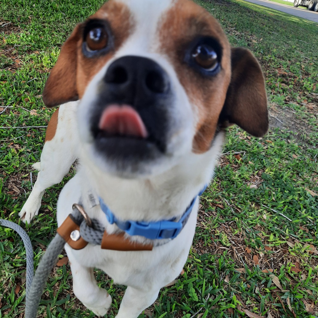 Bruiser photo 10