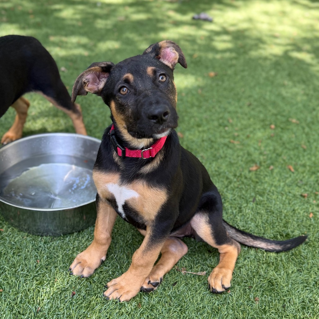 Bb5969490fc37f26acfd83088c23656d jpeg bb5969490fc37f26acfd83088c23656d-jpeg