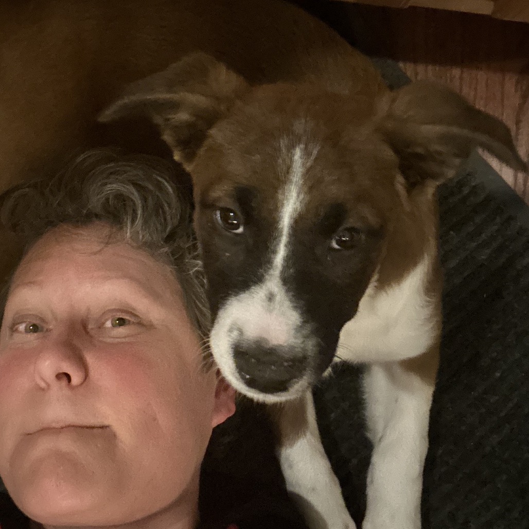 Petunia — thumbnail 4