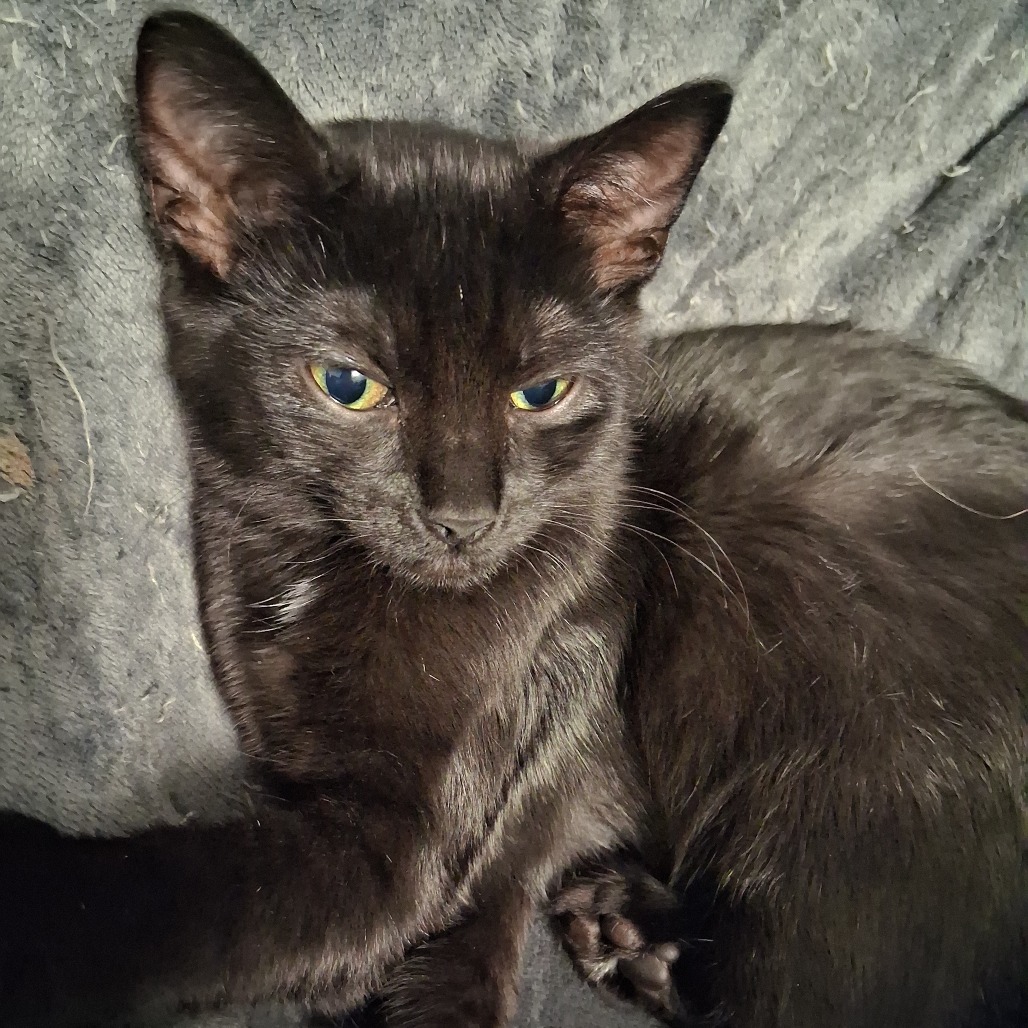 Mercury