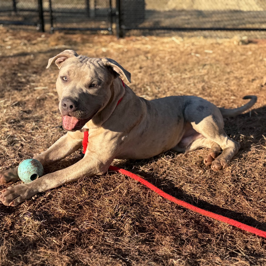 d6fa467d6f3fabcafd7ad1b2b8919ca5