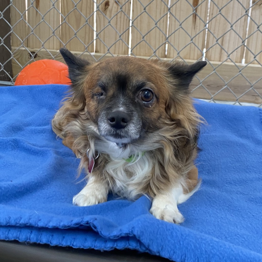 Saint — thumbnail 2