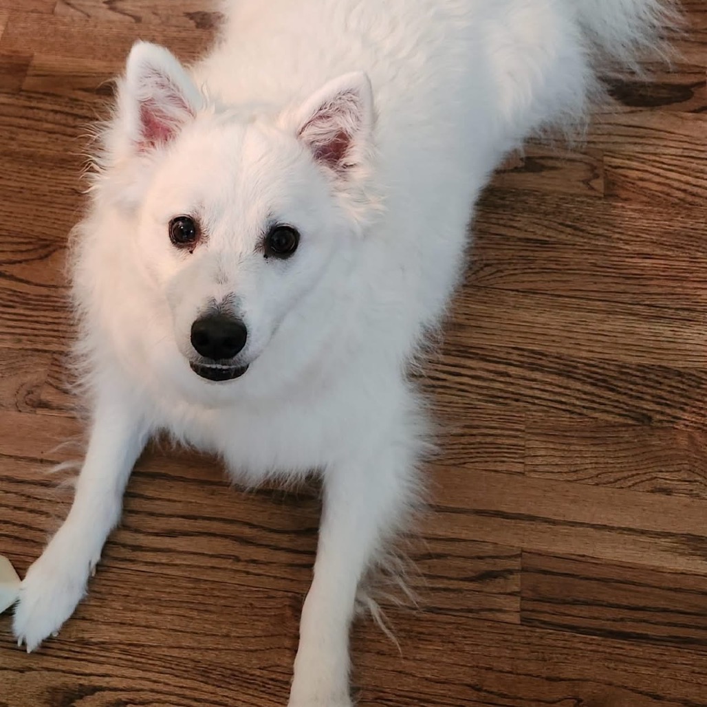 Kumo, photo 8 of 9