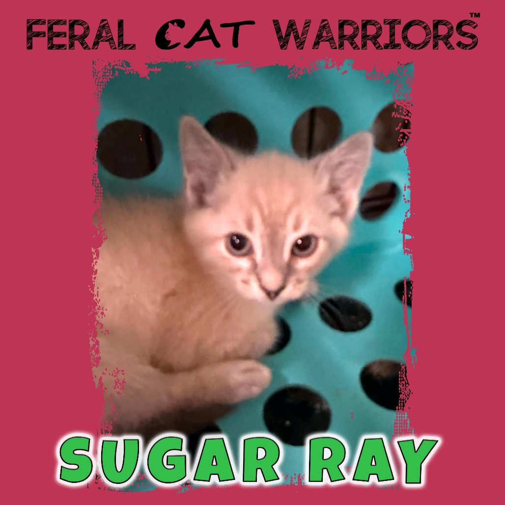 Sugar Ray