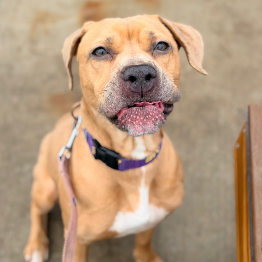 Milli — thumbnail 5