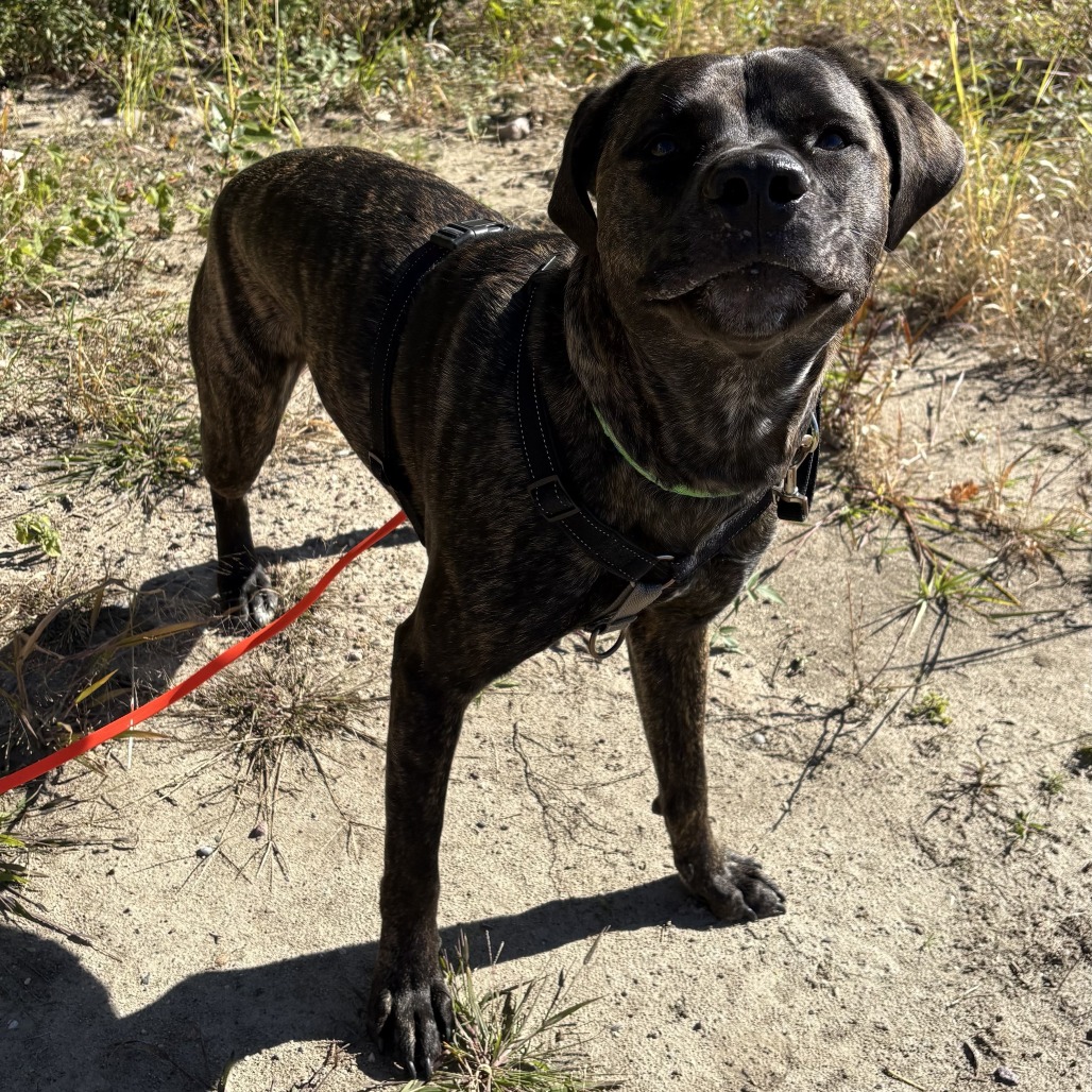 Earl, photo 32