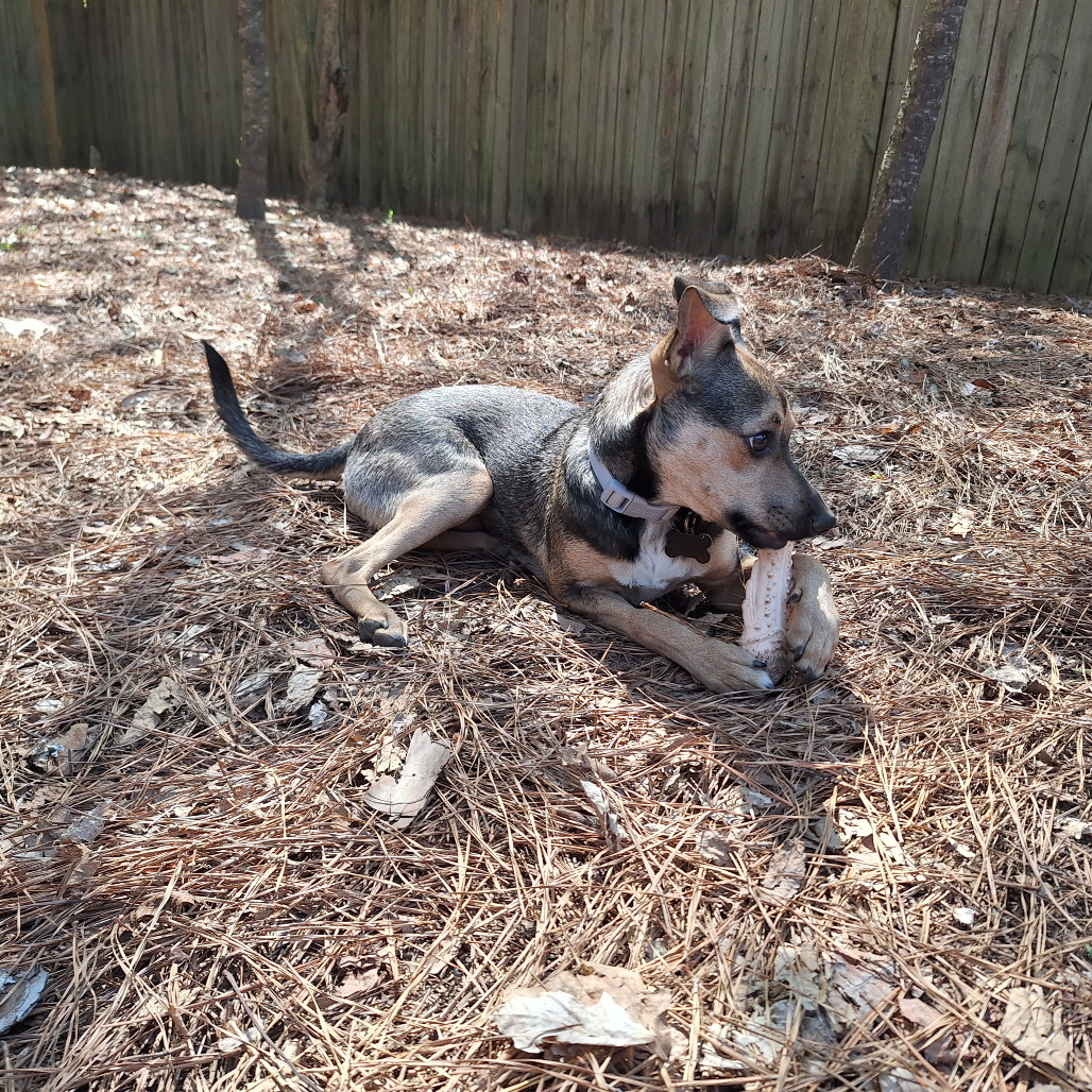 Miles — thumbnail 4