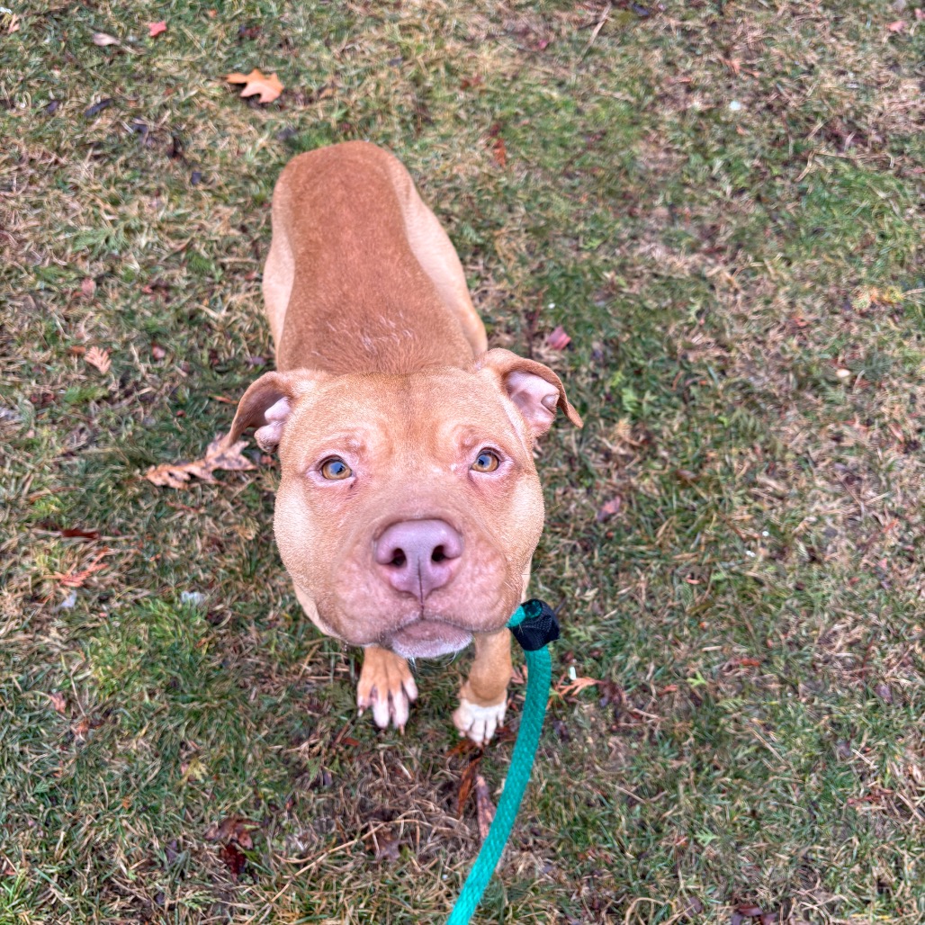 Freedom — thumbnail 5