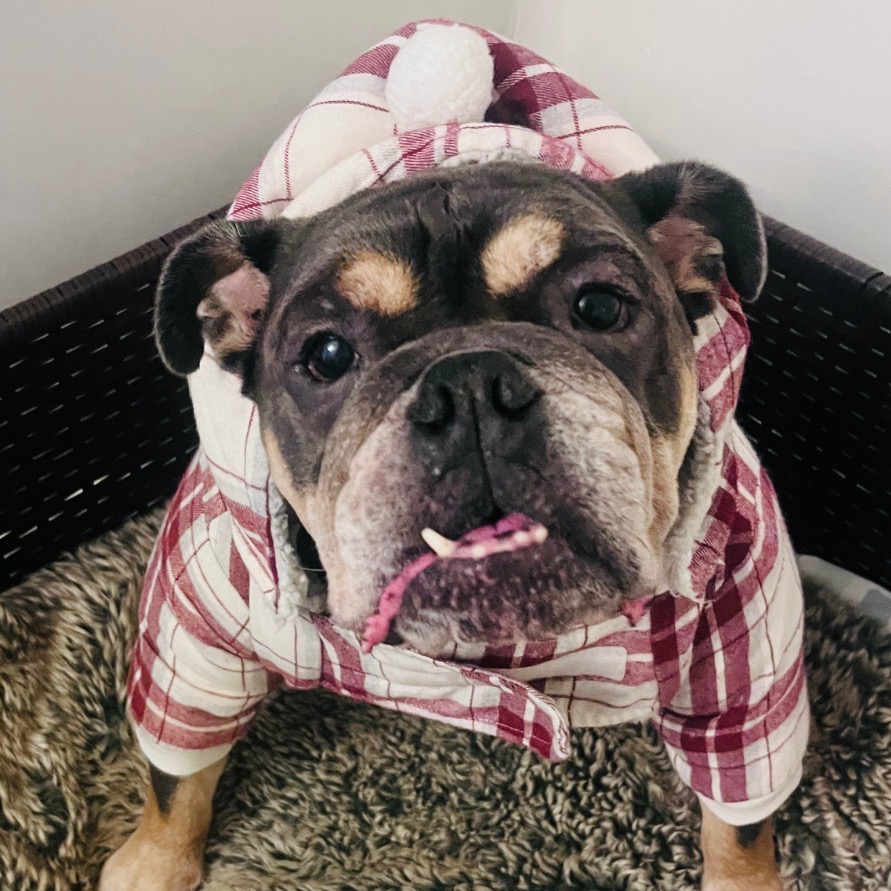 Another portrait of Andy