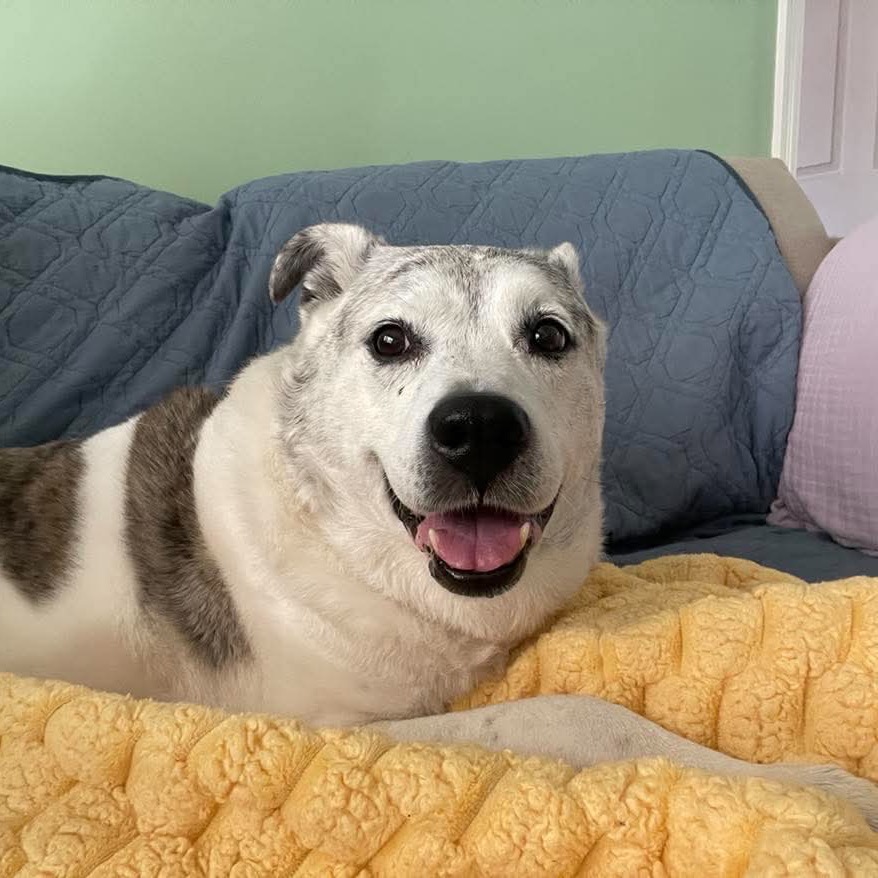 Miss Daisy
