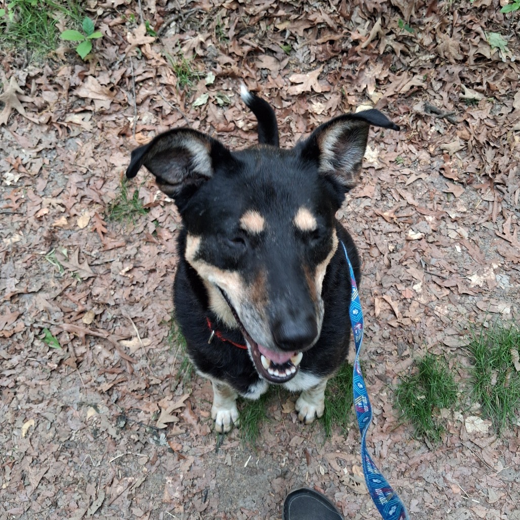 Louie, photo 16