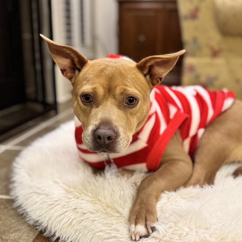 Honey — thumbnail 7