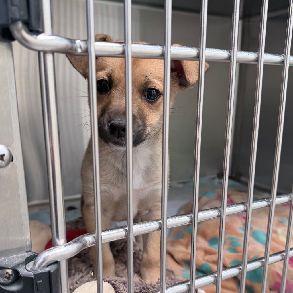 B#12's preview photo