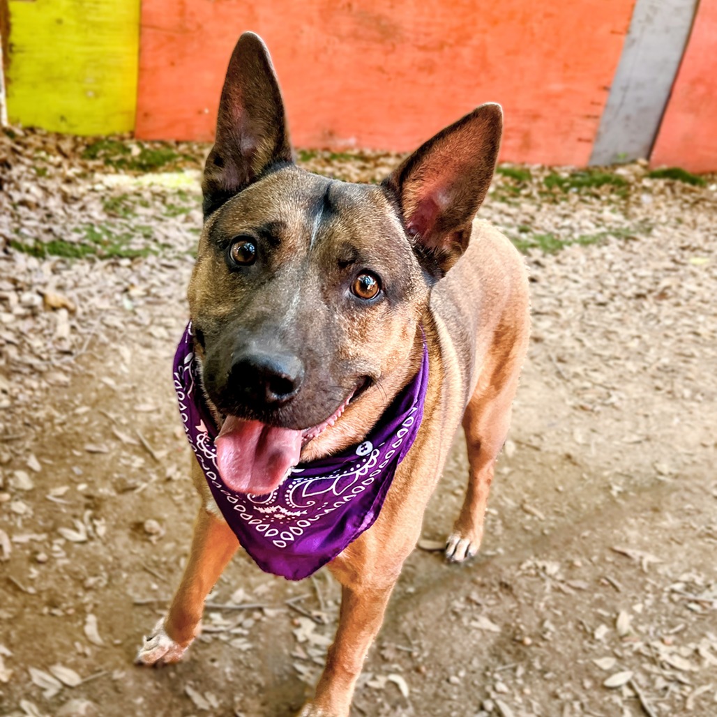 Muddy, additional photo